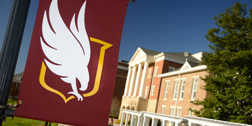 campus with a school flag